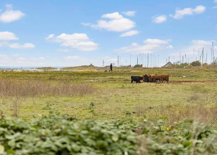 Fy382-bogense-vestre-engvej-104-1-tv *